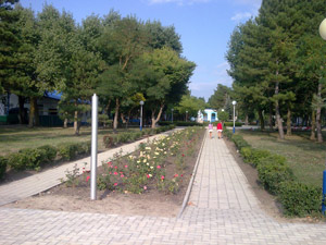 Аллея в парке в ДОЦ Смена, Анапа