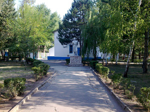 Территория ДОЦ Смена